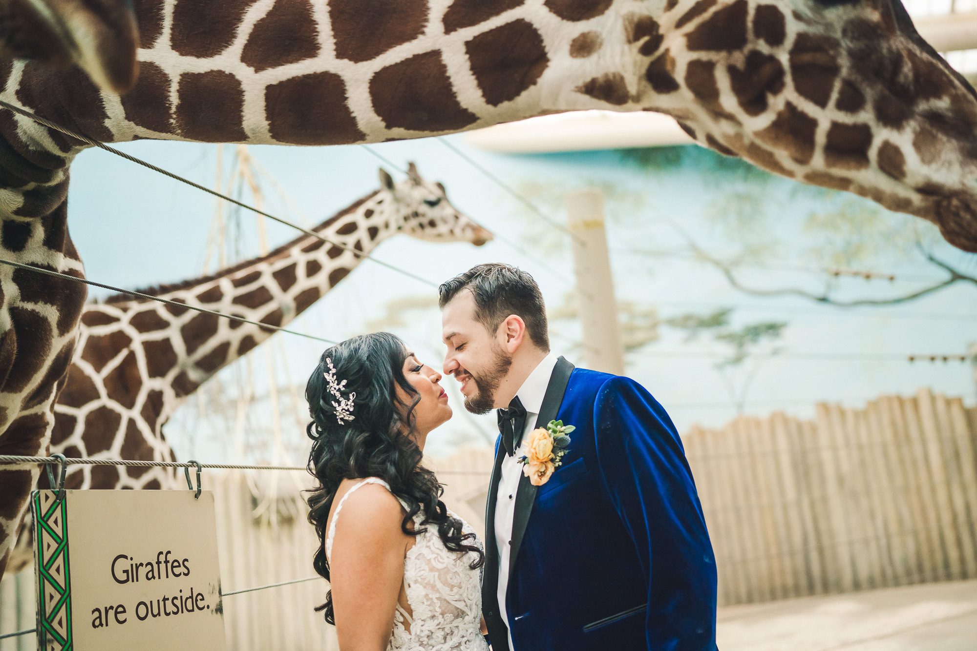 brookfield zoo wedding photographer