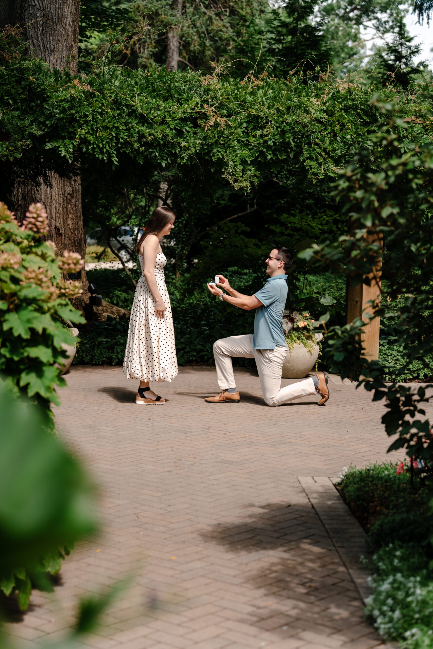 Morton Arboretum Surprise Proposal