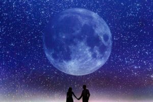 Adler Planetarium wedding photographer