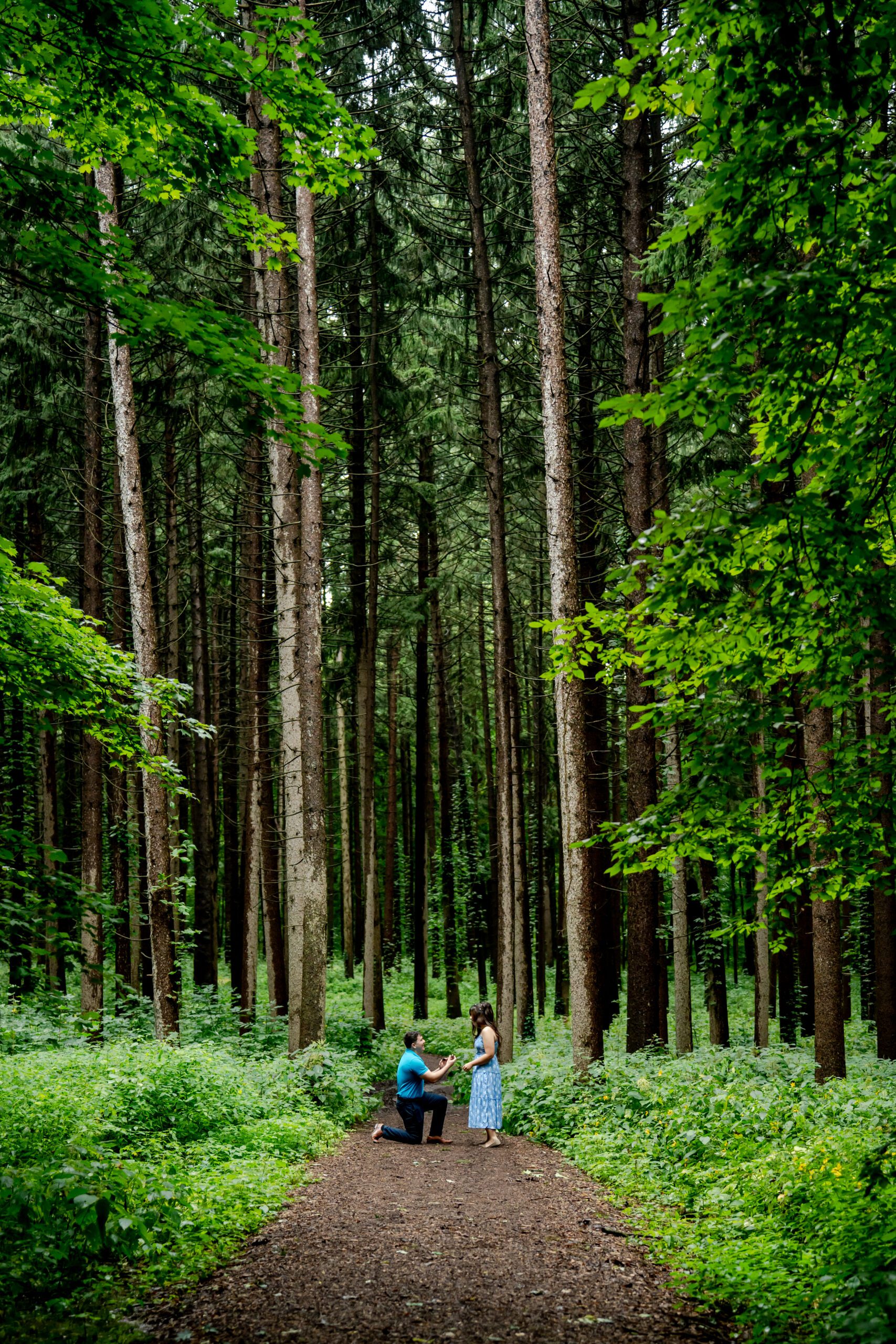 Surprise Proposal at Spruce Plot